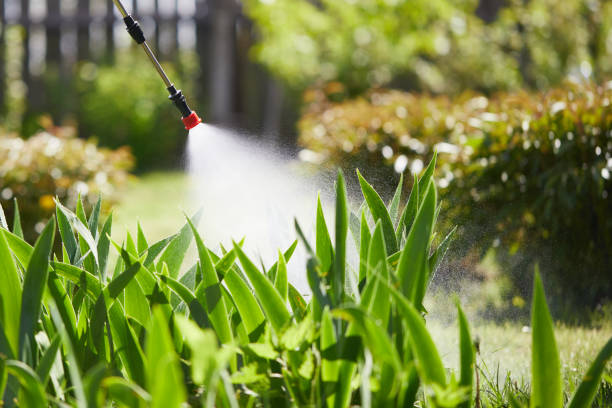 Tamper-Resistant Bait Stations for Rodents in Watervliet