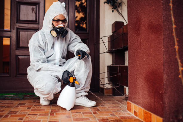 Attic and Crawl Space Rodent Treatment in Watervliet