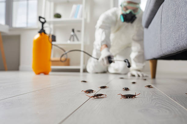 Commercial Rodent Management in Watervliet